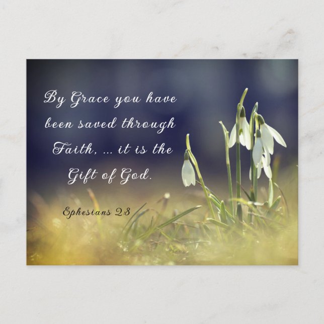 Ephesians 2:8 By Grace You Have Been Saved Bible Postcard (Front)