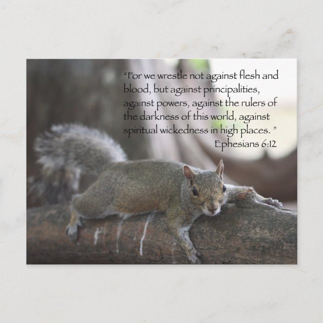 Ephesians 6:12 Postcard (Front)