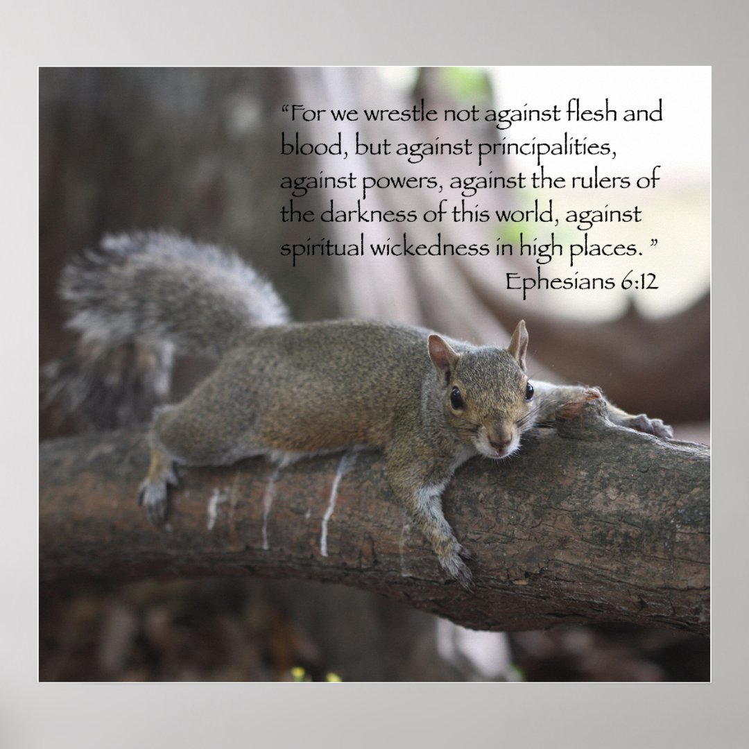 Ephesians 6:12 Poster Print | Zazzle