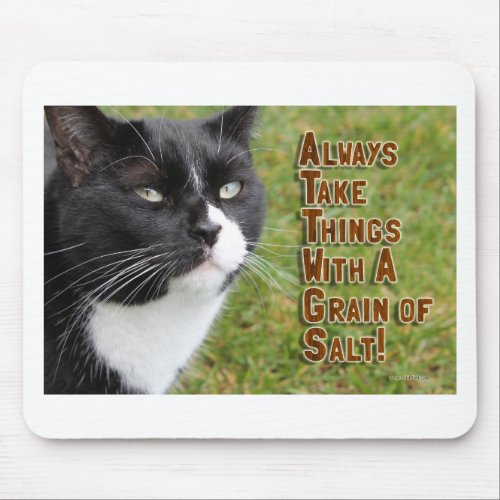 Epic Advice from a Cat Motivation Slogan Time Mouse Pad