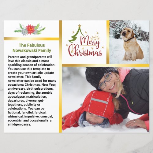 Epic Family Update Newsletter Christmas Fun Times 