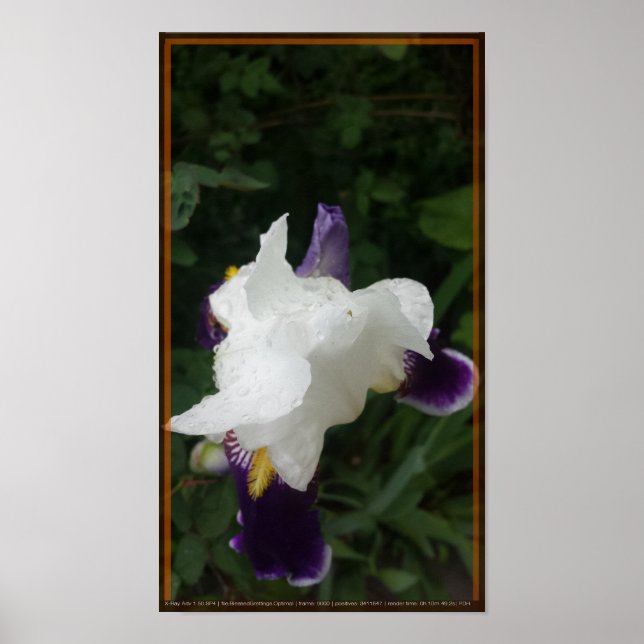 Epic Flower 2 Poster (Front)