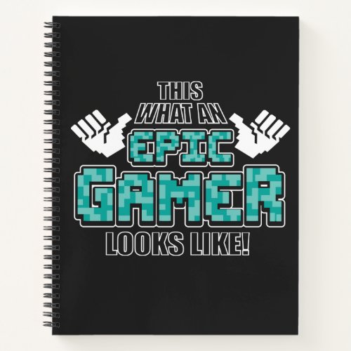Epic Gamer Looks Like Notebook