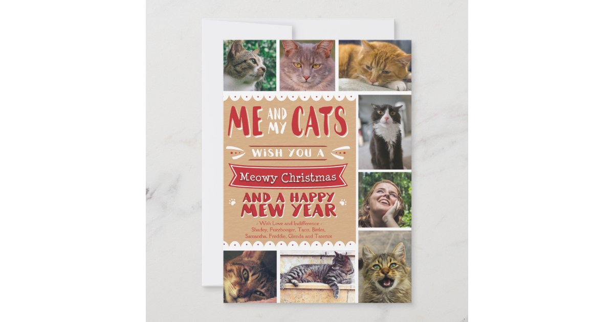 Epic Me And My Cats Christmas 5x7 Card 8 Images Zazzle Com
