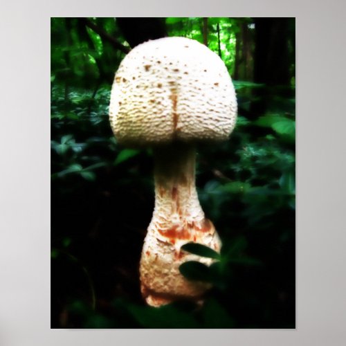 Epic Mushroom Poster