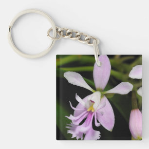 Epidendrum caligarium keychain