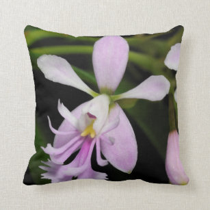 Epidendrum caligarium throw pillow