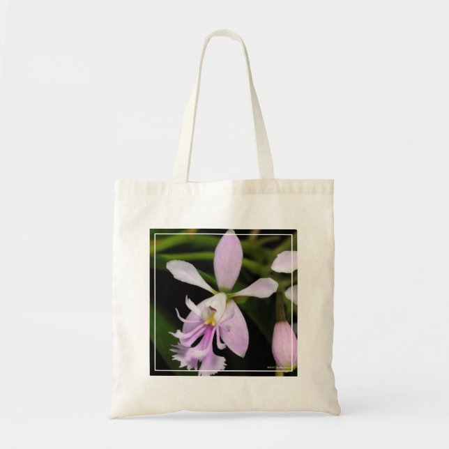 Epidendrum caligarium tote bag (Front)