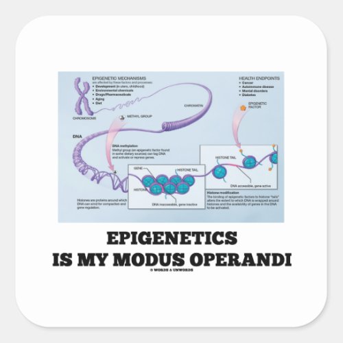 Epigenetics Is My Modus Operandi Mechanisms Square Sticker