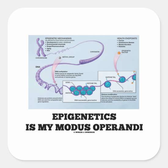 Epigenetics Is My Modus Operandi (Mechanisms) Square Sticker