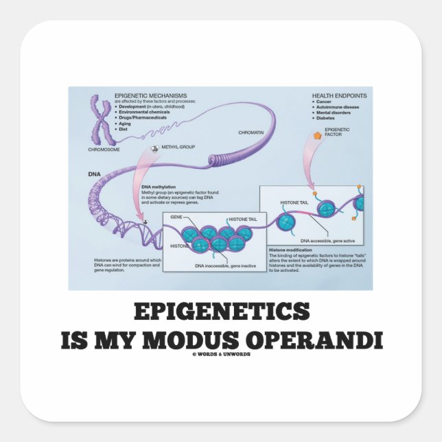 Epigenetics Is My Modus Operandi (Mechanisms) Square Sticker (Front)