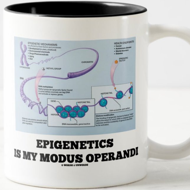 Epigenetics Is My Modus Operandi (Mechanisms) Two-Tone Coffee Mug (Epigeneticists and environmentalists will enjoy this mug)