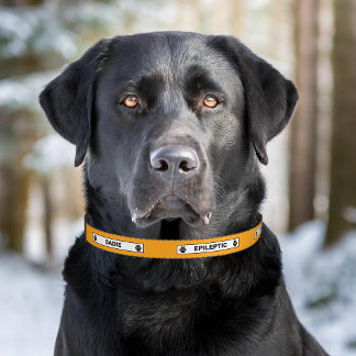 Epileptic Dog Alert Pet Epilepsy Warning Orange Collar