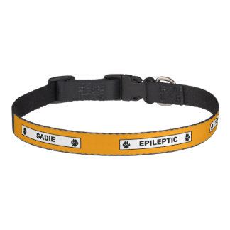 Epileptic Dog - Black Dog Paws - Orange Pet Collar
