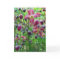 Epimedium Flowers Birthday Card