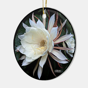 Epiphyte Cactus Flower Ceramic Ornament