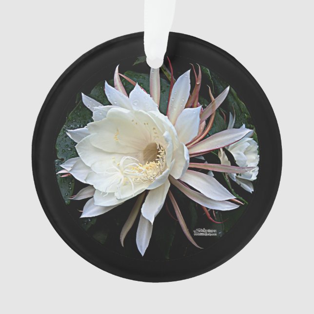 Epiphyte Cactus Flower Ornament (Front)