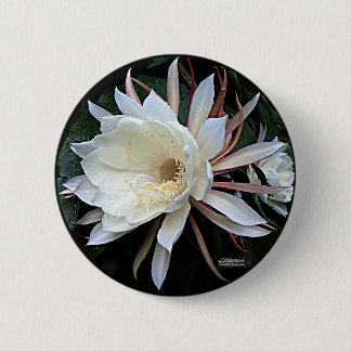 Epiphyte Cactus Flower Pinback Button