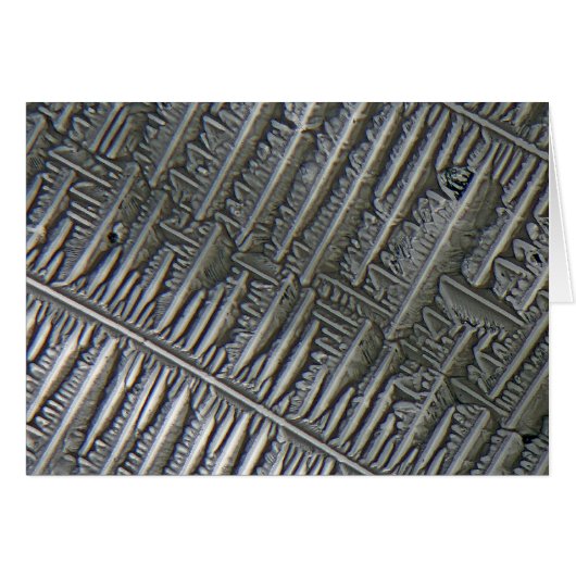 Epsomite under the microscope cards (Front Horizontal)