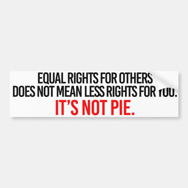 Equal Rights for others does not mean less rights  Bumper Sticker (Front)