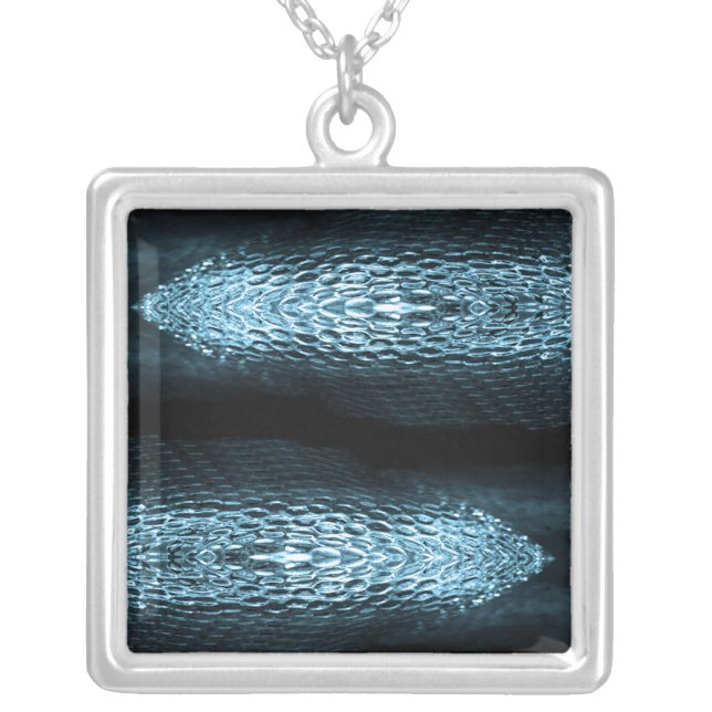 Equal Sign Sapphire Blue Gemstone Necklace (Front)