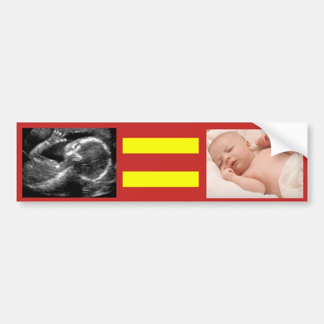 Equality Abortion Bumper Sticker (Front)
