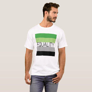EQUALITY Aromantic Flag T-Shirt