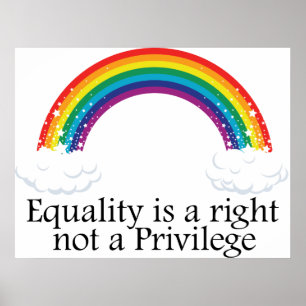 Equality is a right not a privilege poster