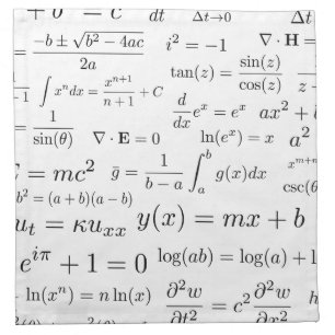 Equations of Math and Science Cloth Napkins