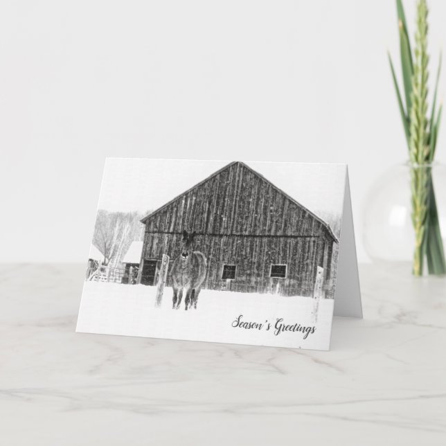 Equestrian Christmas Monochrome Holiday Horse Card (Front)