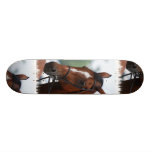 Equestrian Horse Show Skateboard Deck