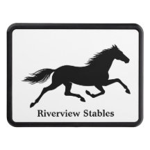 Equestrian Horse Stable White and Black