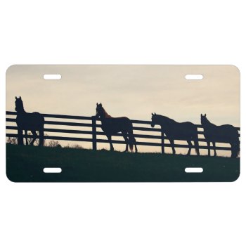 Equestrian Horses At The Pasture Fence License Plate by PaintingPony at Zazzle