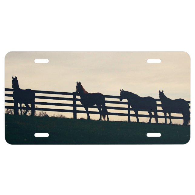 Equestrian Horses at the Pasture Fence License Plate (Front)