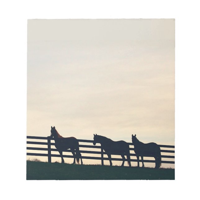Equestrian Horses at the Pasture Fence Notepad (Front)