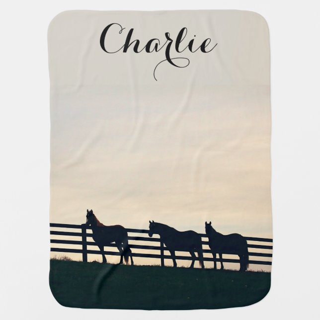 Equestrian Horses at the Pasture Fence Stroller Blanket (Front)