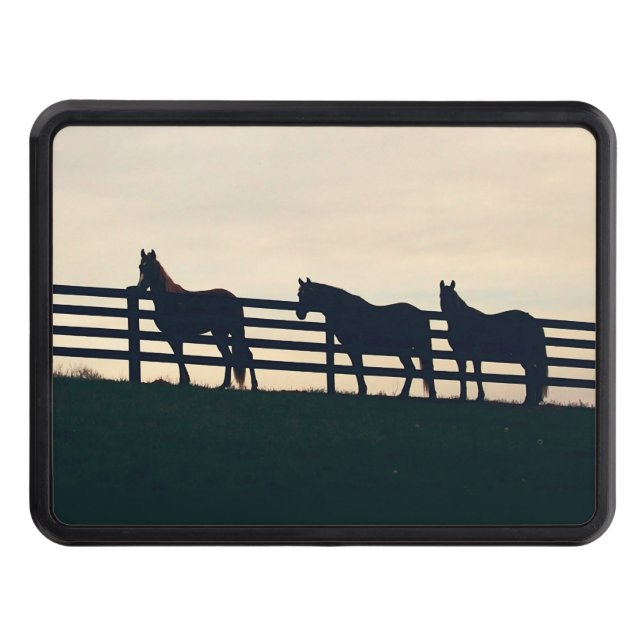 Equestrian Horses at the Pasture Fence Tow Hitch Cover (Front)