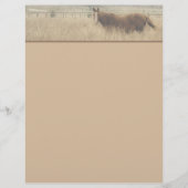 Equestrian Letterhead (Front)