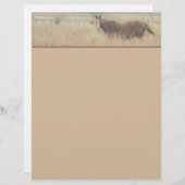 Equestrian Letterhead (Front/Back)
