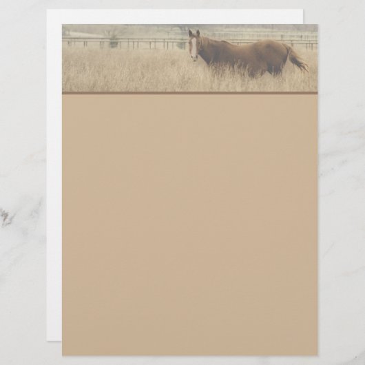 Equestrian Letterhead (Front/Back)