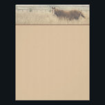 Equestrian Letterhead<br><div class="desc">Photography by Maileilani Kealoha-Carpino. All rights reserved.</div>