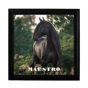 Equestrian Photo Pet Memorial Keepsake Gift Box