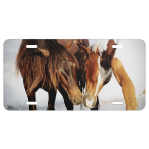 Equestrian Pony Love License Plate