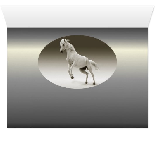 Equestrian White Mare Horse (Inside Horizontal (Bottom))