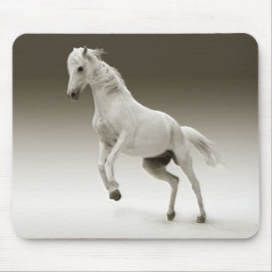 Equestrian White Mare Horse Mouse Pad