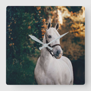 Equestrian Your Horse Photo Square Wall Clock