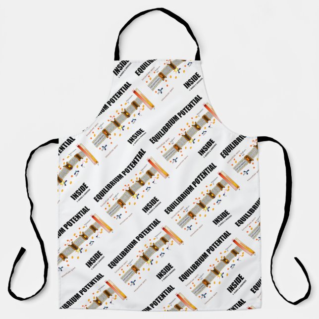Equilibrium Potential Inside Active Transport Apron (Front)