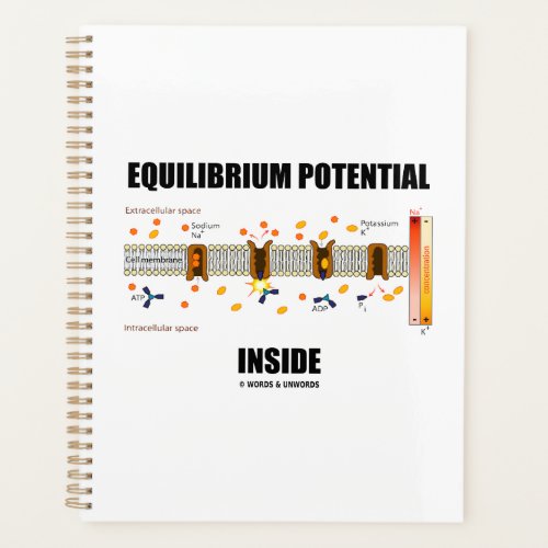 Equilibrium Potential Inside Active Transport Planner