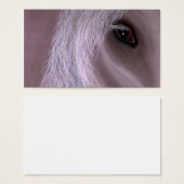equine (Front & Back)