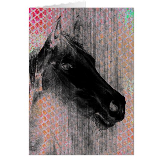 Equine 2 cards (Front)